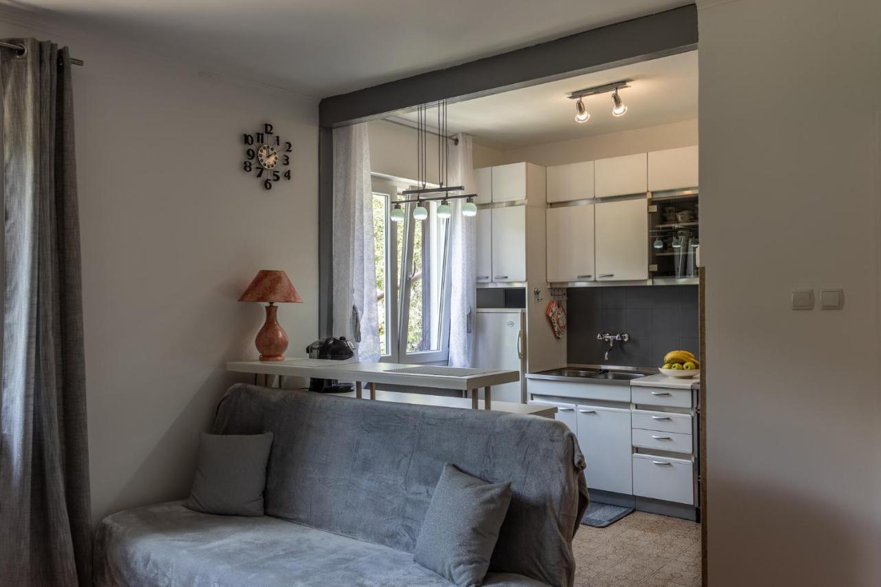 Apartman Danijela Zagorje Luaran gambar