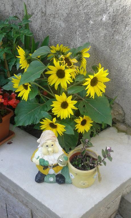 Apartman Danijela Zagorje Luaran gambar