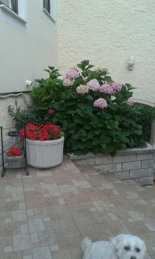 Apartman Danijela Zagorje Luaran gambar